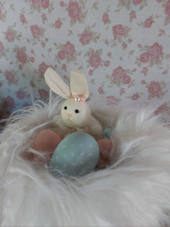 Captura de Tela 2026-03-18 às 13.55.12