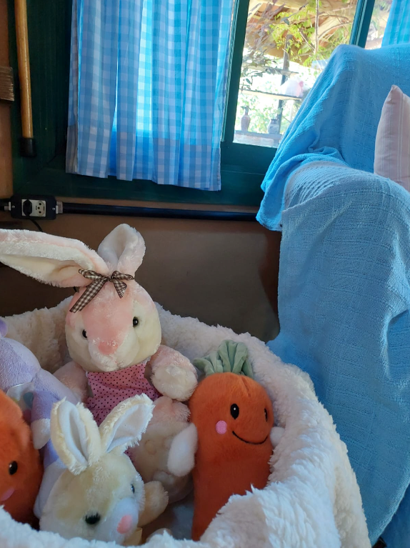 Captura de Tela 2026-03-18 às 13.56.57